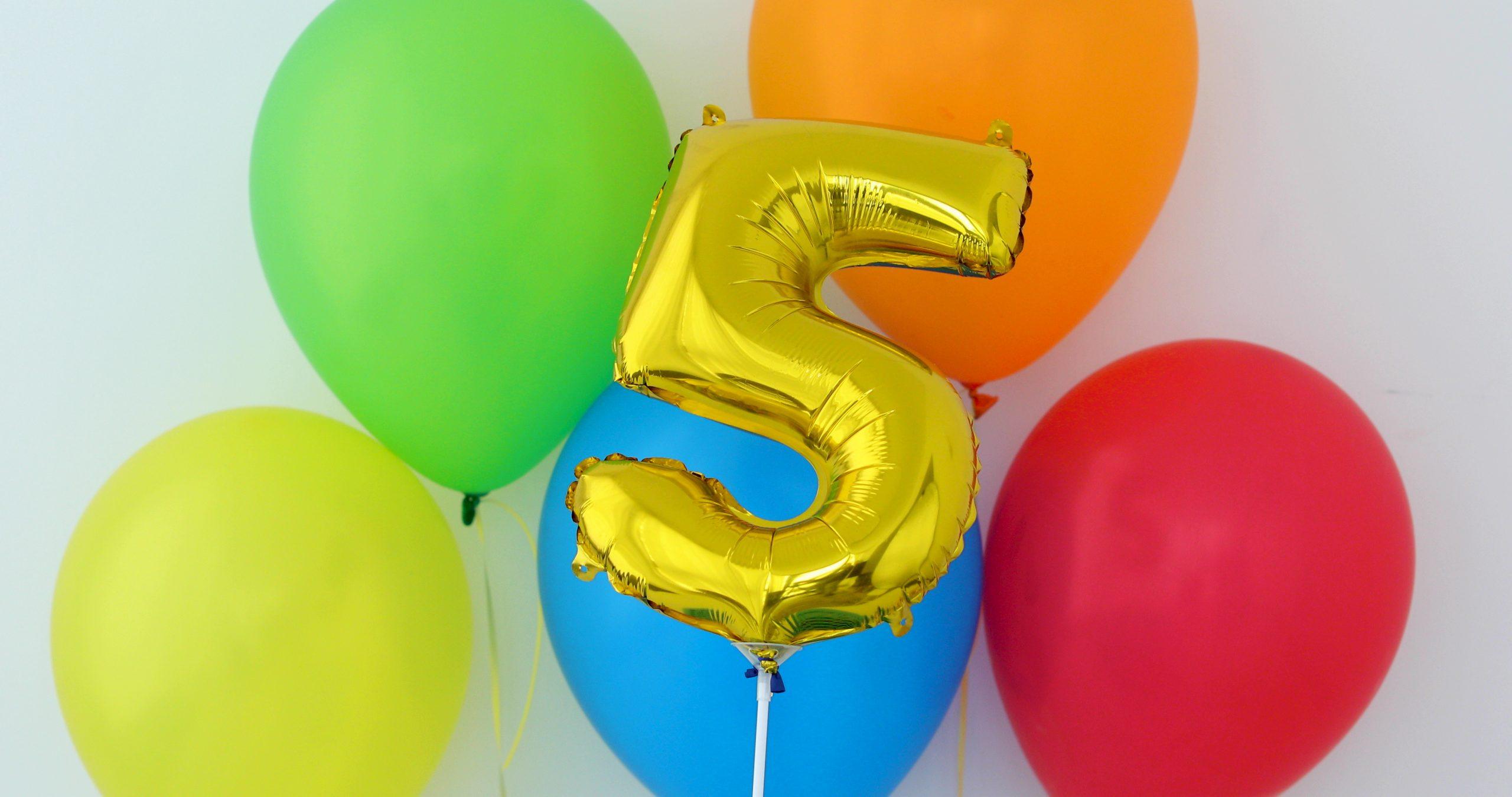 5 Jahre GöDoSchaust